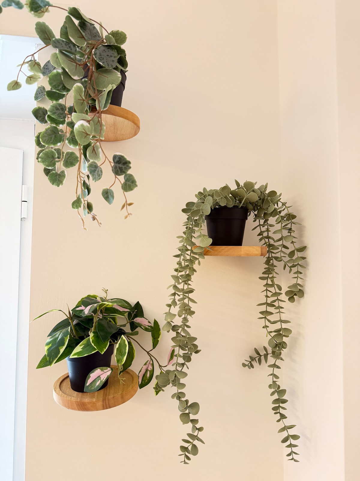 Gallery - Mida Accommodation Rome